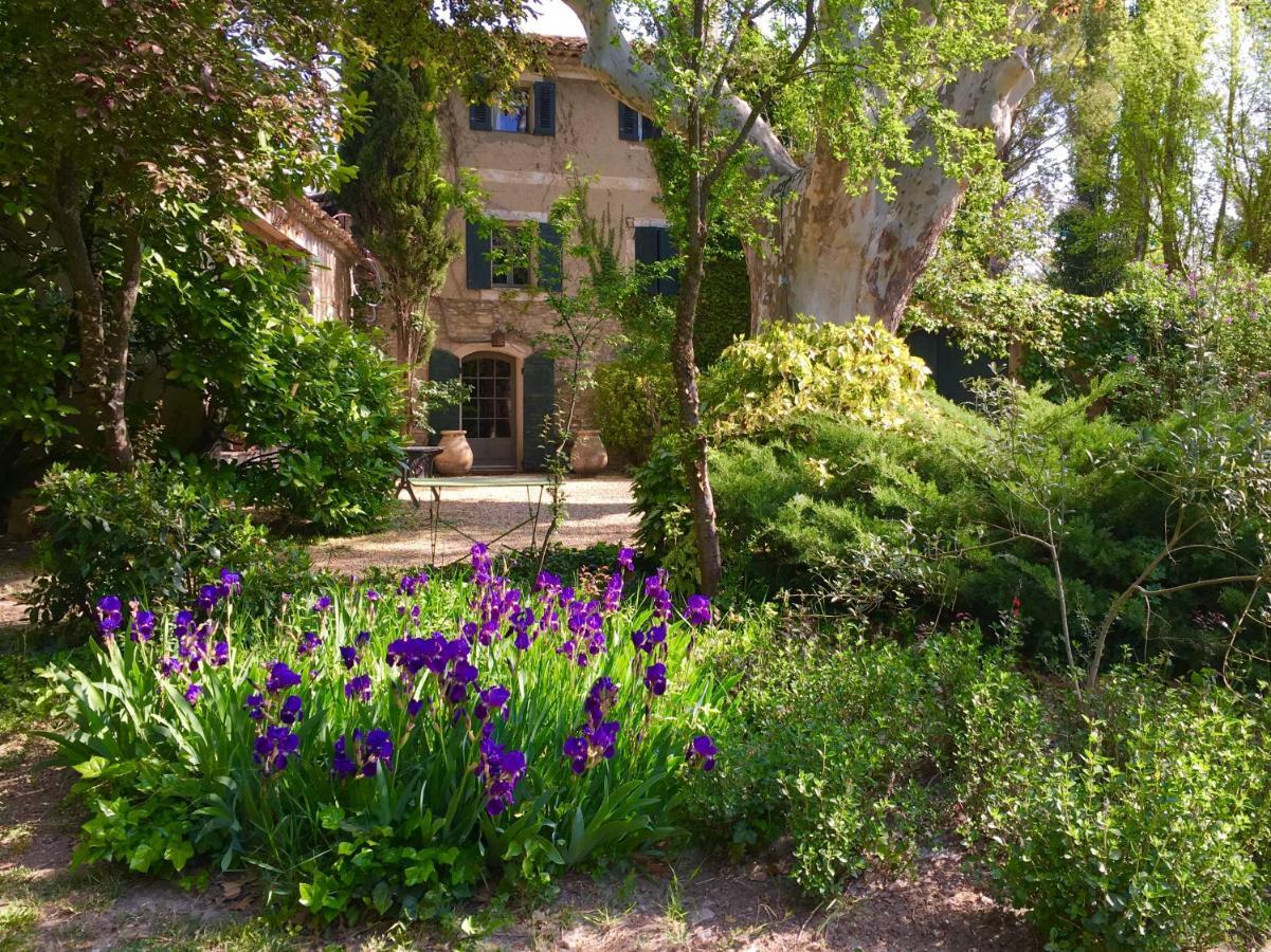 Campagne Baudeloup Bed and Breakfast LʼIsle-sur-la-Sorgue Exteriör bild